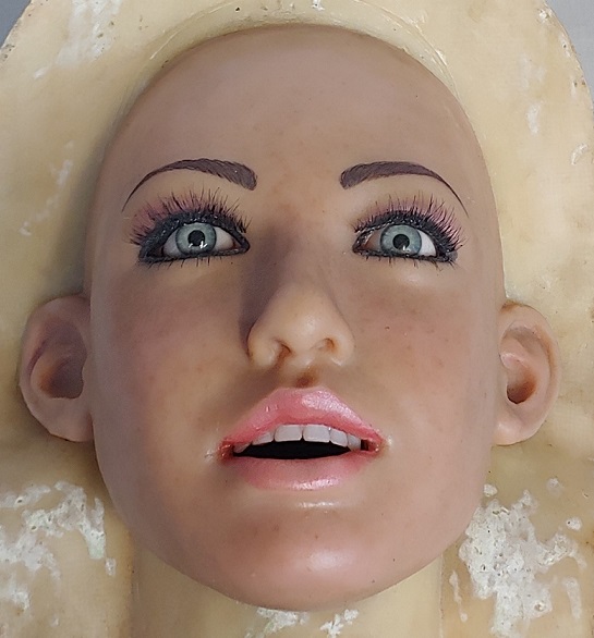 a realdoll